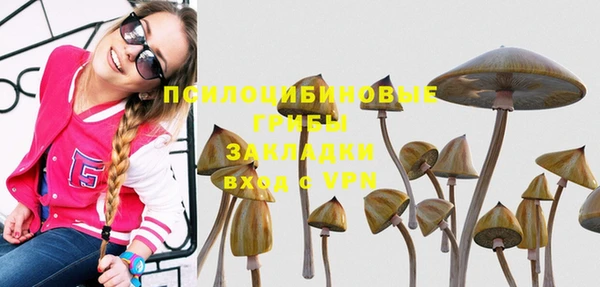 молекула духа Армянск